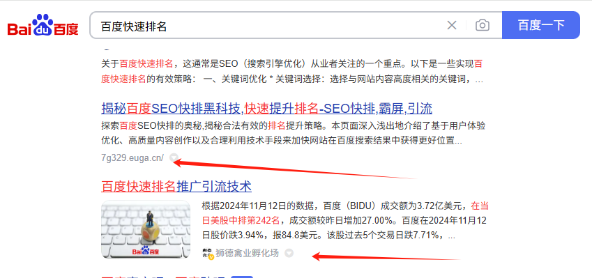 自然搜索优化（SEO）效果图