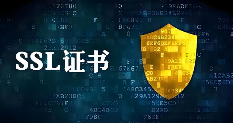 什么是SSL证书,详解SSL证书对网站的重要性及安装步骤和常见问题解答 什么是SSL证书,详解SSL证书对网站的重要性及安装步骤和常见问题解答