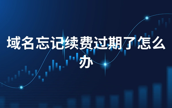域名到期了没续费要得回来吗？
